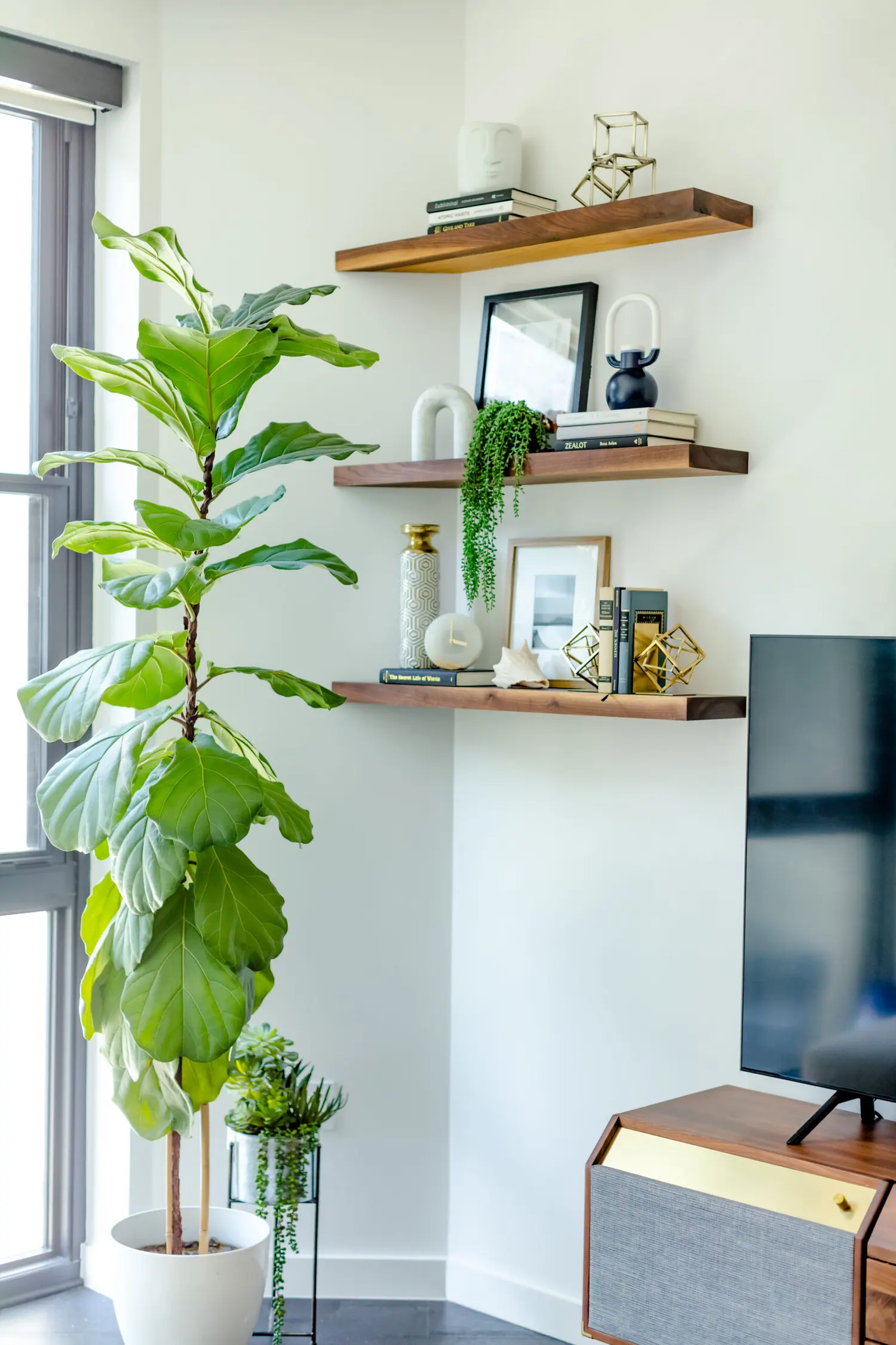 Downtown Austin Condo — Furnishings interior design project